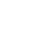 Sheltie « Édition Noire »
