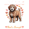 Race de chien Goldendoodle