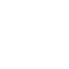 logo loup géométrique