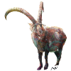 Bouquetin
