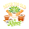 Never too old to repot | Plants