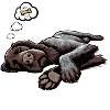 Hundemüde Deutsch Drahthaar drahthaar hunde