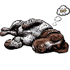 Hundemüde Deutsch Drahthaar drahthaar hunde