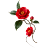 Red camellia in elegant Zen style