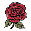 L’amour de la rose