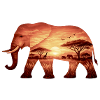 Elephant on Savannah