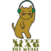 Cat likes pop music