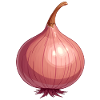 oignon