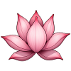 Nénuphar fleur de lotus