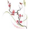 Japanese Plum Blossom Zen Style