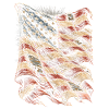 Veterans Day for Democrats