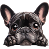 Cuddly Buldog Eye-Catching Graphic