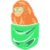 Singe Tamarin