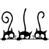 Three curious black cats
