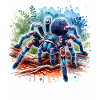 Gooty Sapphire Tarantula Gift