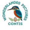 Copie_de_Sans_titre_copie
