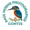 Copie_de_Copie_de_Sans_titre