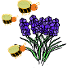 Bees Insects Flowers Nature Children