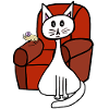 Pets Cat Mouse Cats Mice