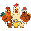 Chickens, roosters and chicks