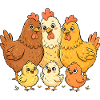 Famille des poulets
