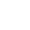 Labradoodle "Black Edition"
