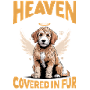 Race de chien Goldendoodle