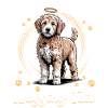 Goldendoodle Dog Breed