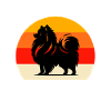 Équipe Spitz