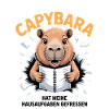 Capybara Hausaufgaben 