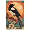 Pies Magpie