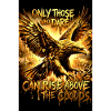 Eagle Poster Motivation Saying Mural