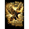 Eagle Poster Motivation Saying Mural