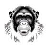 Chimpanzé singe