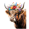 Vache
