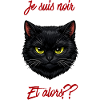 Chat noir et texte rouge audacieux