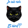 Chat noir audacieux et alors??