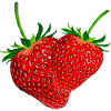 Fraises