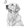 Golden Retriever Illustration with Butterfly