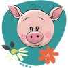 Cochon mignon