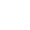 Alter 67