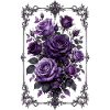 Roses, Roses pourpres, Roses et Fleurs