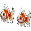 Bande dessinée Poisson Rouge