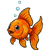 Orange Goldfish Comic