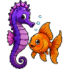 Seahorse meets goldfish friendship