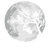 Lune de Chat Lune d’Halloween