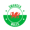 Swansea Wales Dragon Emblem