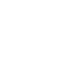 master of disaster