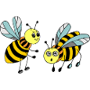 Insectes
