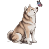 Chien Akita Inu avec motif papillon